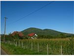 RO2011_02_119